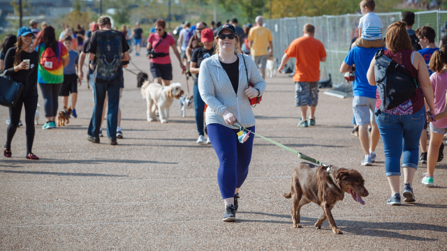 St. Louis City SC Dog Leash Size: Small