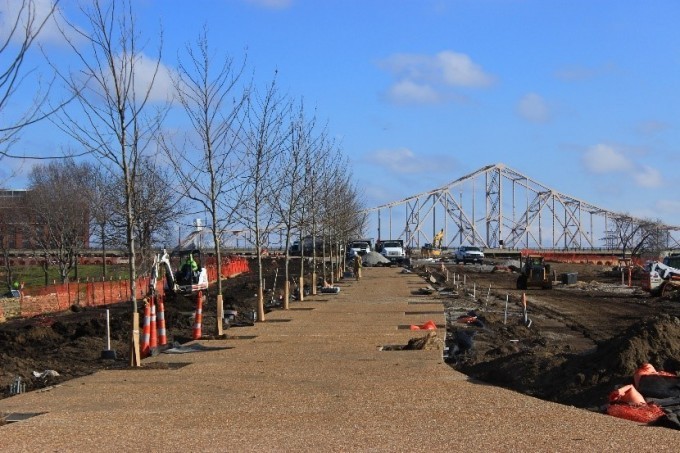 London Plane trees planted along the west allée north of the Gateway Arch on February 26, 2016. The trees will line both sides of the paths creating shaded walkways with unique views of the Arch.